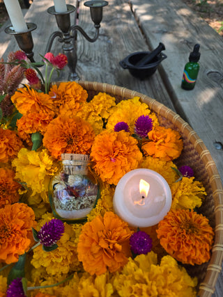 SPELL JARS + PLANT MAGIC